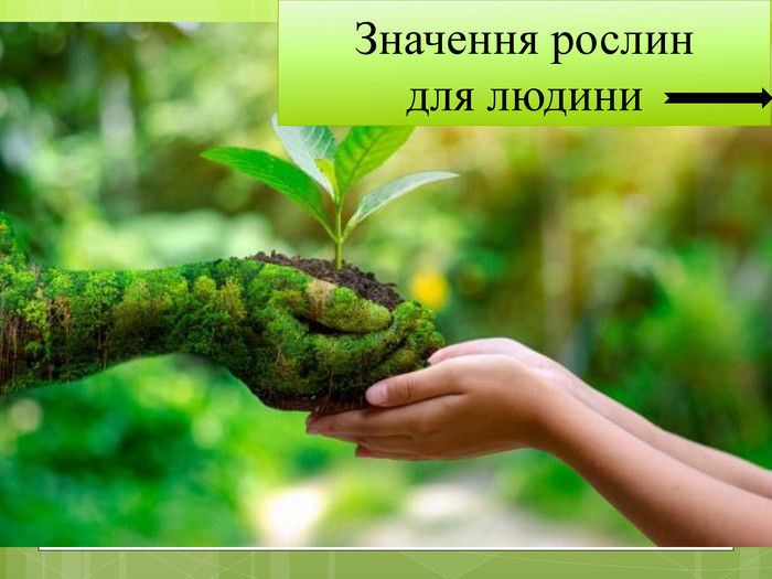 яка роль рослин у природі та житті людини