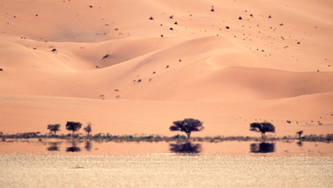 desert-mirage