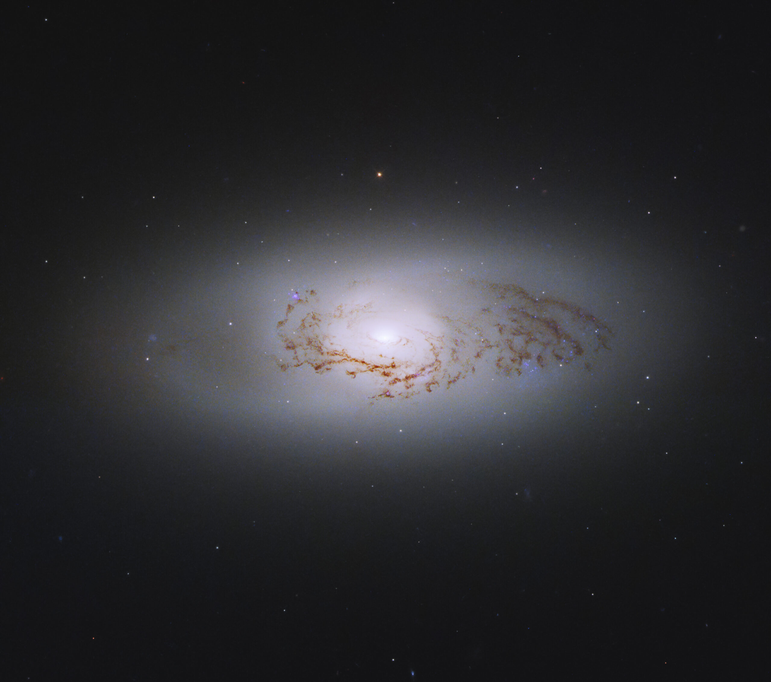 hubble_ngc3489_1_flat_final_crop-scaled