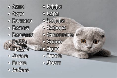 ім'я для кішок