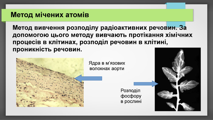 метод мічених атомів