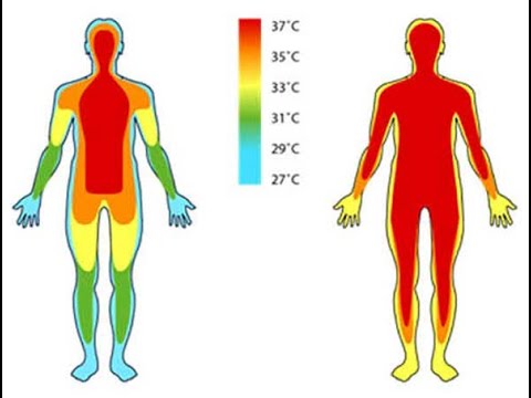 теплорегуляція