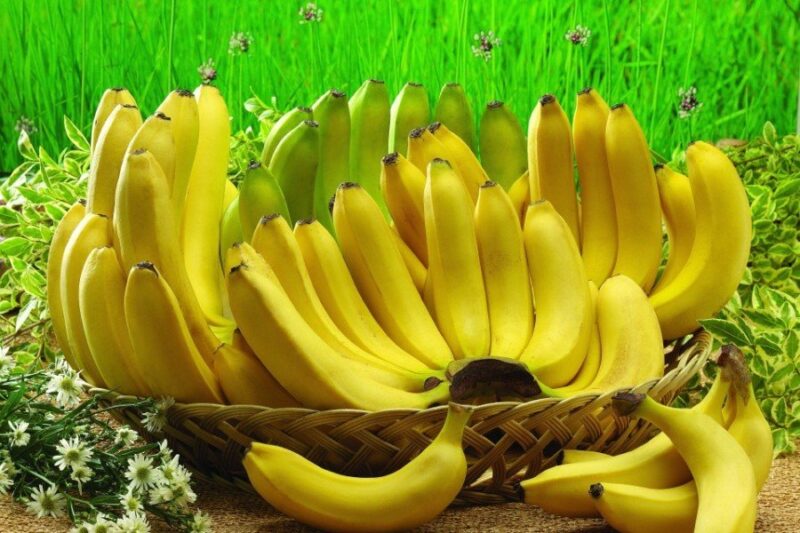 banani-e1732601525728