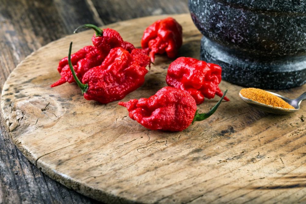 carolina-reaper-pepper-hospital-999x666