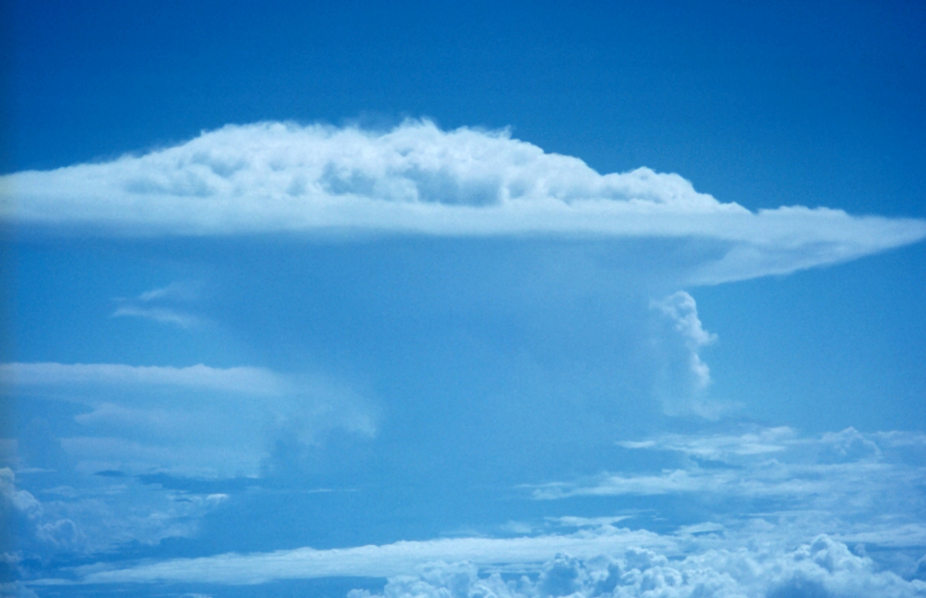 Fly00890_-_Flickr_-_NOAA_Photo_Library