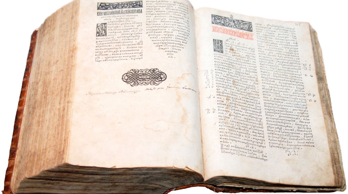 image (2)