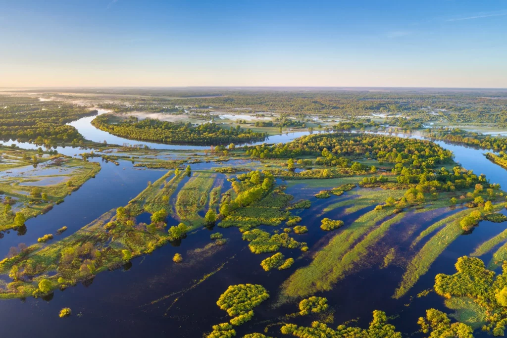 pivdenne-polissia-pravopys-taiemnytsi-nazvy-ta-dushi-rehionu-138f