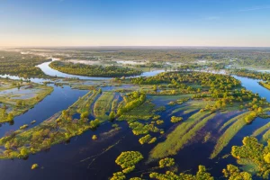 pivdenne-polissia-pravopys-taiemnytsi-nazvy-ta-dushi-rehionu-138f
