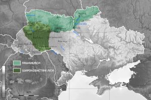 Географічне положення мішаних лісів