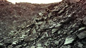 Як утворилося кам’яне вугілля