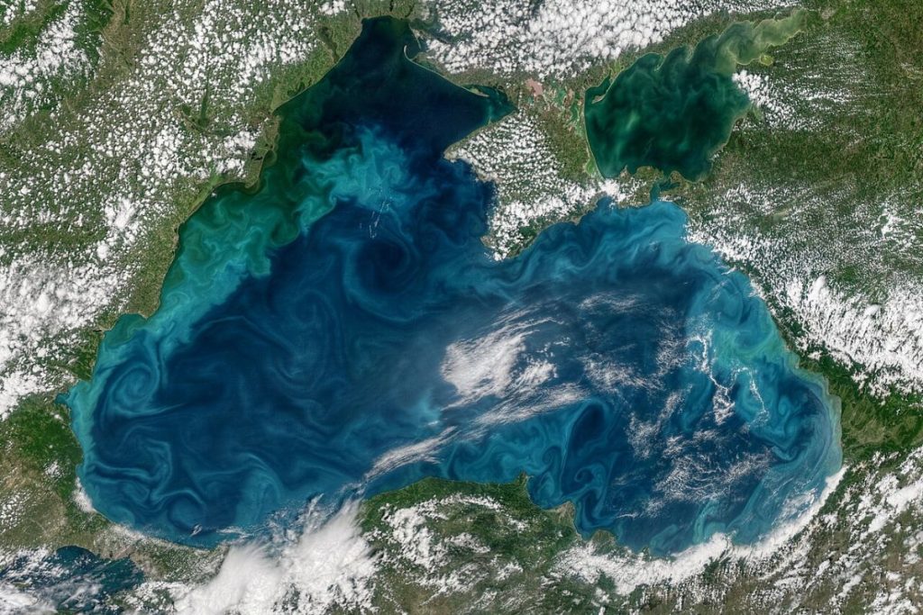 найбільшою затокою чорного моря є