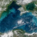 Найбільшою затокою Чорного моря є Каркінітська затока: географія, природа та значення