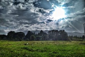 процес фотосинтезу неможливий за відсутності