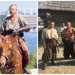 Вірний товариш козака в бою: козацький кінь — душа степової відваги