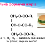 Загальна формула жирів: структура, властивості та роль у житті