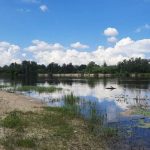 Найнижчий рівень води в річці: причини, наслідки та як адаптуватися в умовах 2026 року