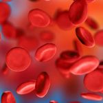 Наявність ядра у тромбоцитів: чому вони особливі та як це впливає на здоров’я