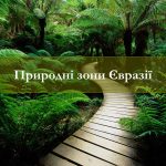 Природні зони Євразії: повна таблиця та глибокий огляд різноманіття материка