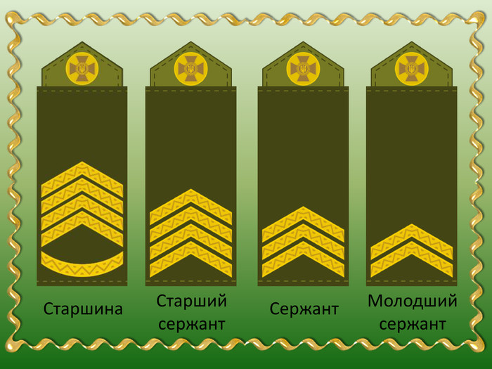 військові звання зсу