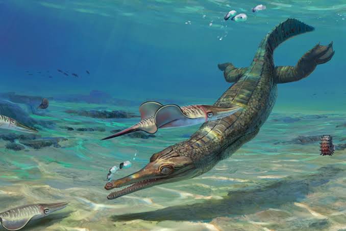 морський крокодил