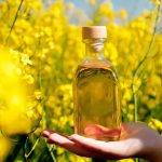 Ріпакова олія для смаження – як обрати і використовувати правильно