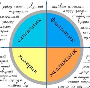 Тест на темперамент: як пройти і прочитати результат