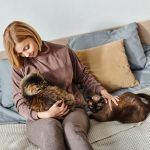 Чи розуміють коти людську мову насправді