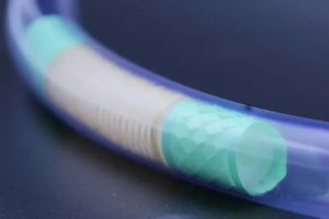MIT розробив робота-змійку, який може досліджувати тонкий кишківник і брати біопсію